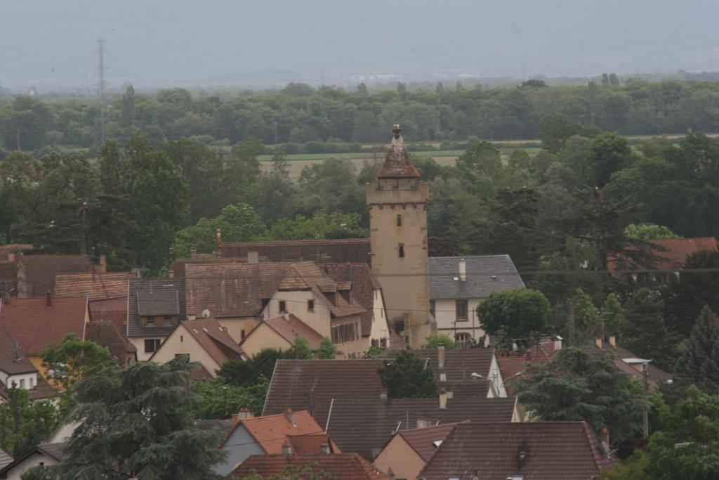 Gite Duplex Du Vignoble Alsace Rouffach Ngoại thất bức ảnh